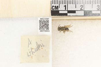 Media type: image;   Entomology 773311 Aspect: Labels